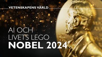 AI och livets lego: Nobel 2024