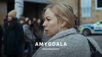 Amygdala