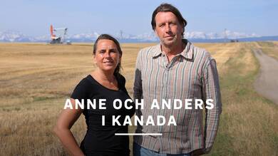 Anne och Anders i Kanada