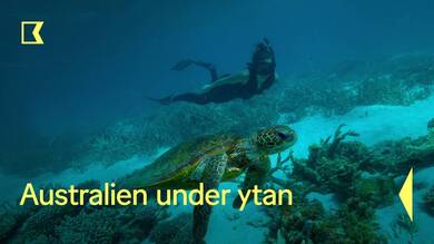 Australien under ytan