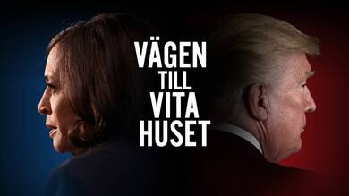 Dokument utifrån: Vägen till Vita huset