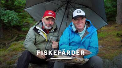 Fiskefärder