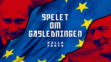 Kalla fakta: Spelet om gasledningen