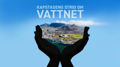 Kapstadens strid om vattnet