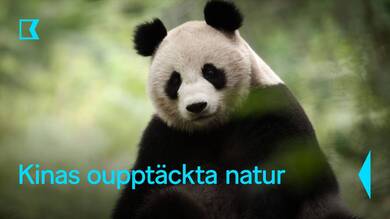 Kinas oupptäckta natur