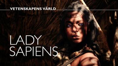 Lady sapiens