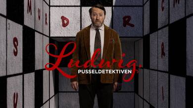 Ludwig – pusseldetektiven