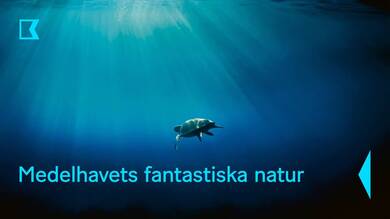 Medelhavets fantastiska natur