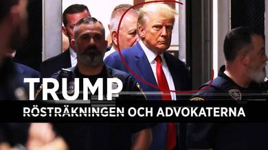 Trump, rösträkningen och advokaterna