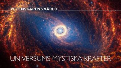 Universums mystiska krafter