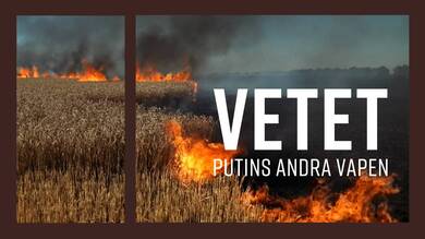 Vetet - Putins andra vapen